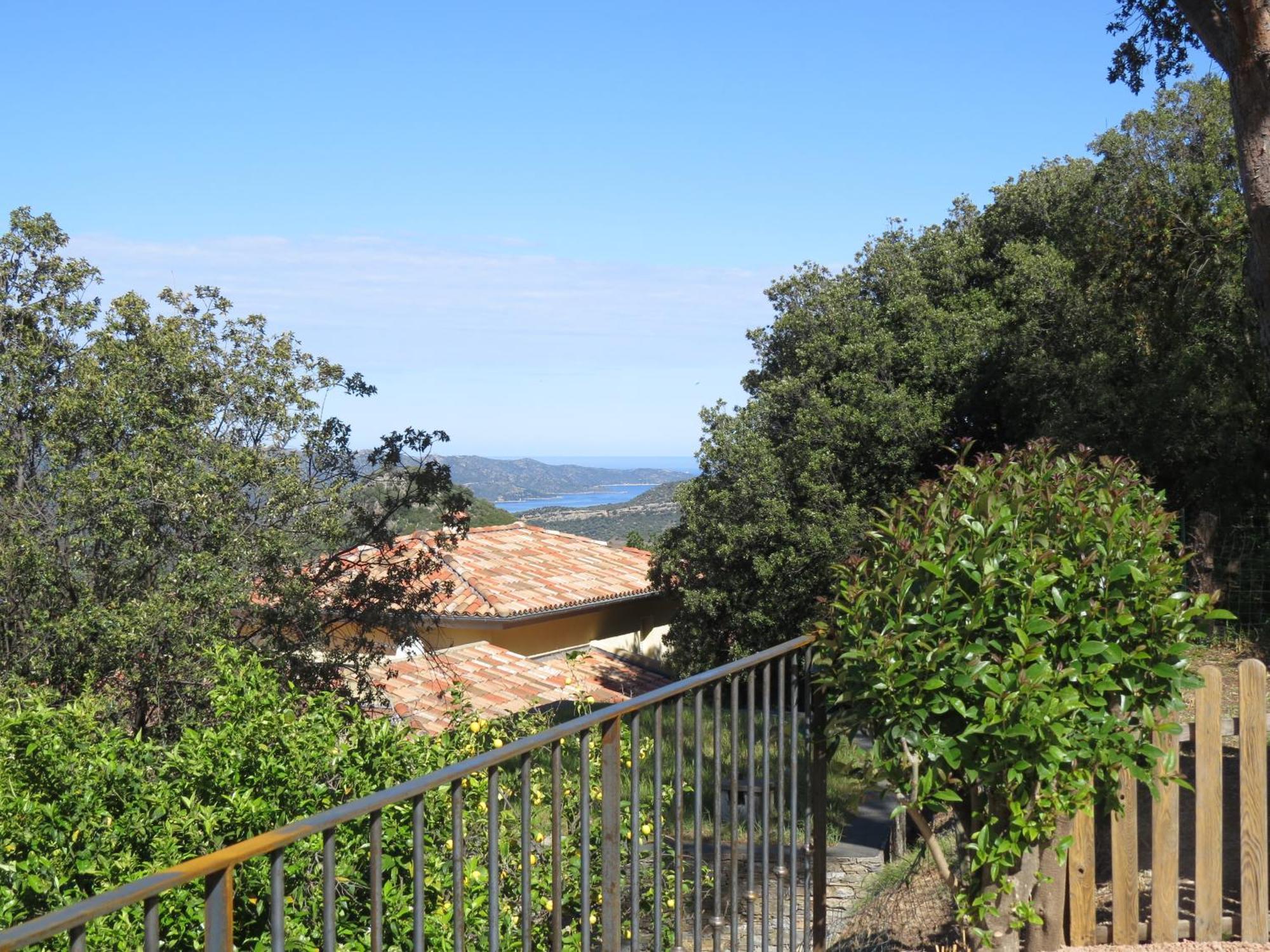 Carpediem_Corsica Poggio-d'Oletta Luaran gambar