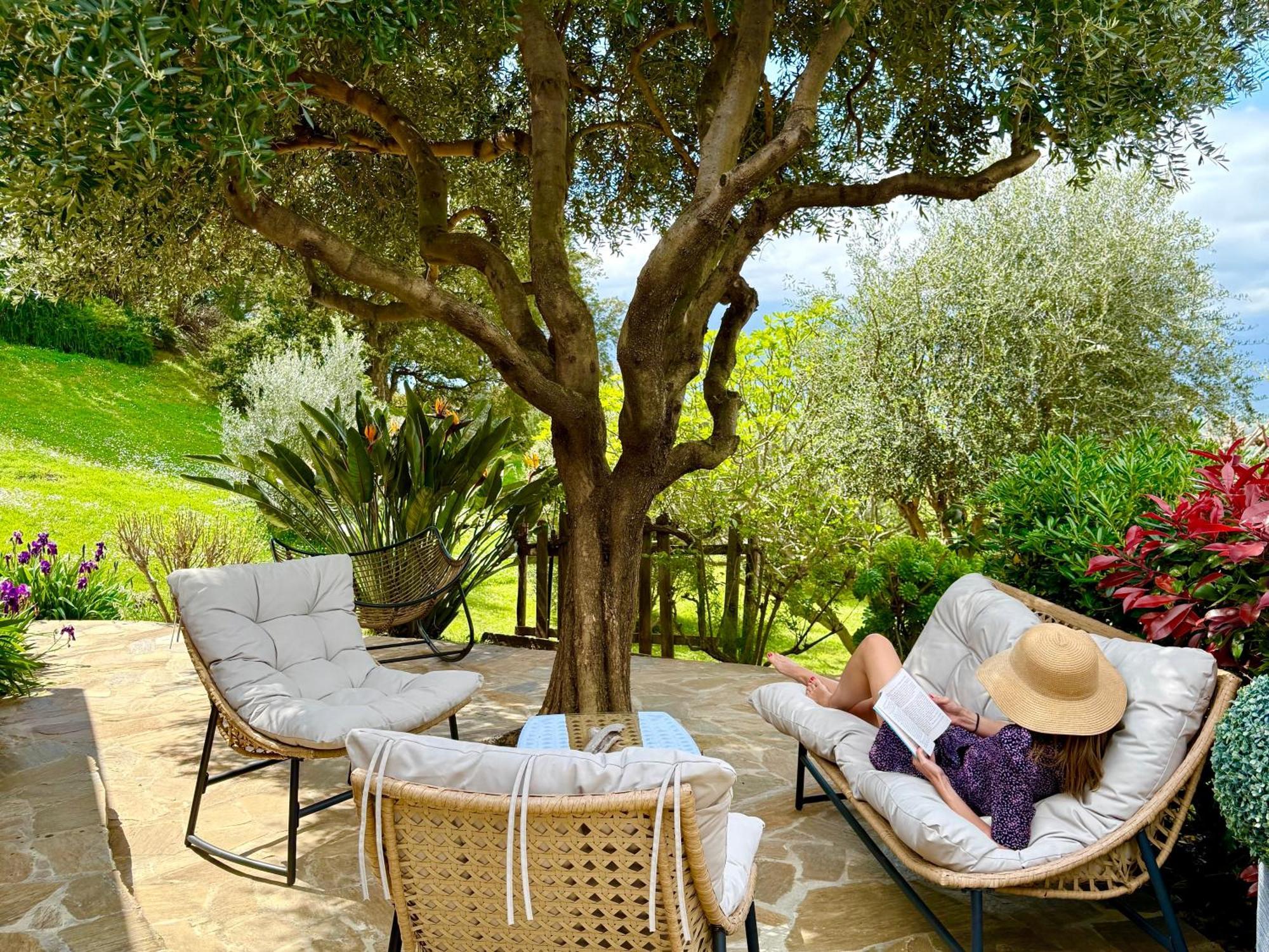Carpediem_Corsica Poggio-d'Oletta Luaran gambar